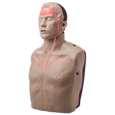 Aero Healthcare BRAYDEN PRO CPR Manikin (Bluetooth Connectivity)